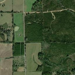 Lime Sink Alabama High Resolution Satellite Map