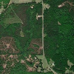 Scyrene Alabama High Resolution Satellite Map