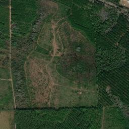 Appling County map(satellite map)