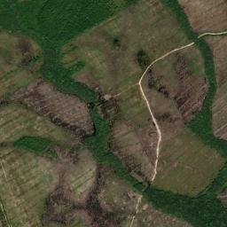 Long County map(satellite map)