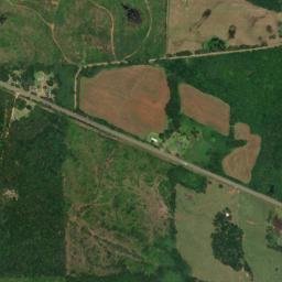 Greenville Highway, Luverne, AL 36049, USA High Resolution Satellite Map