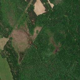 Hallsville Alabama High Resolution Satellite Map