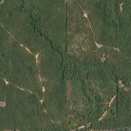 Clarksville Alabama High Resolution Satellite Map