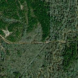 River Ridge Alabama High Resolution Satellite Map