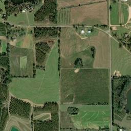Edgefield Alabama High Resolution Satellite Map