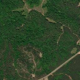 Vashti Alabama High Resolution Satellite Map