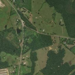 Farm-to-Market 139, Sabine National Forest High Resolution Satellite Map