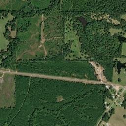 Starlington Alabama High Resolution Satellite Map