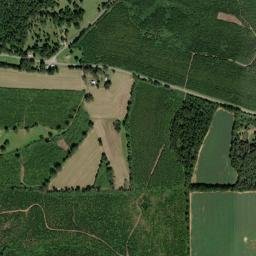 Skinnerton Alabama High Resolution Satellite Map