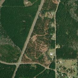 East Chapman Alabama High Resolution Satellite Map