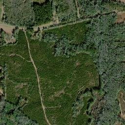 219 County Road 8, Clio, AL 36017, USA High Resolution Satellite Map