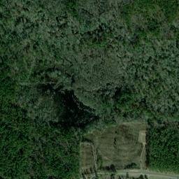 Gray Cemetery, Kisatchie National Forest High Resolution Satellite Map