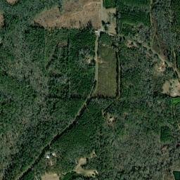 Winn Alabama High Resolution Satellite Map