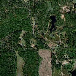 Wayne County map(satellite map)