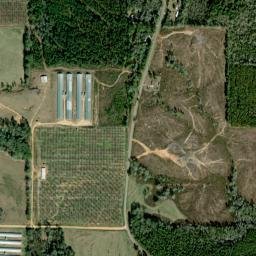 Akinsville Alabama High Resolution Satellite Map