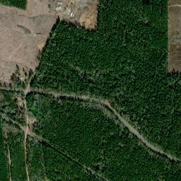 3384-3876 U.S. 71, Montgomery, LA High Resolution Satellite Map