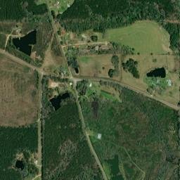 Avant Alabama High Resolution Satellite Map