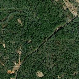 Bigbee Alabama High Resolution Satellite Map