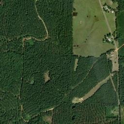 Grace Alabama High Resolution Satellite Map