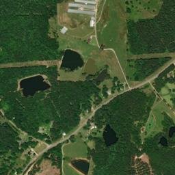 Wilkinstown Alabama High Resolution Satellite Map