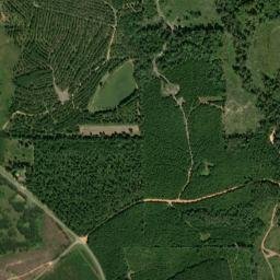 Fowler Alabama High Resolution Satellite Map