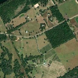 12813 U.S. 79, Oakwood, TX 75855, USA High Resolution Satellite Map