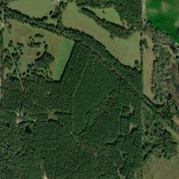 Jefferson Davis County map(satellite map)
