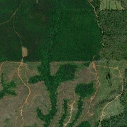 Monroe County map(satellite map)