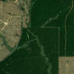 Rhodes Alabama High Resolution Satellite Map