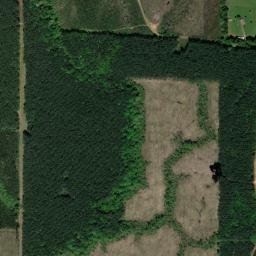 Sabine Parish map(satellite map)