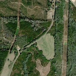 Arguta Alabama High Resolution Satellite Map