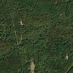 Renson Alabama High Resolution Satellite Map