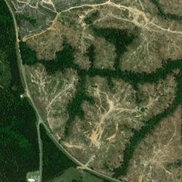 Newby Alabama High Resolution Satellite Map