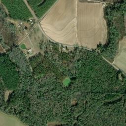 Java Alabama High Resolution Satellite Map