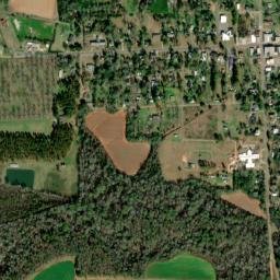 Edison map(satellite map)