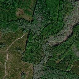 Wayne County map(satellite map)