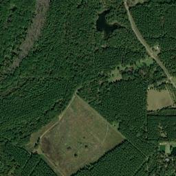 367-449 Arm Rd, Silver Creek, MS 39663, High Resolution Satellite Map