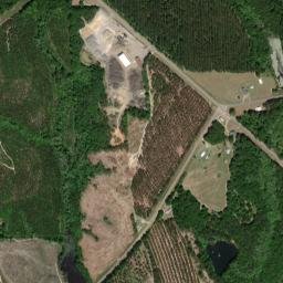 Weed Crossroad Alabama High Resolution Satellite Map