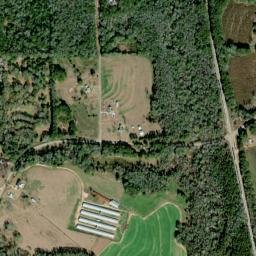 Dillard Alabama High Resolution Satellite Map