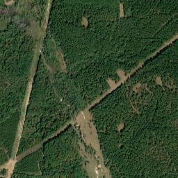 Henry County map(satellite map)