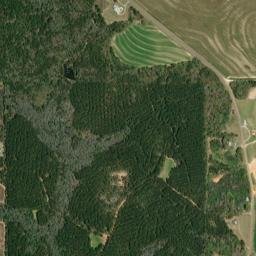 Boykin Alabama High Resolution Satellite Map