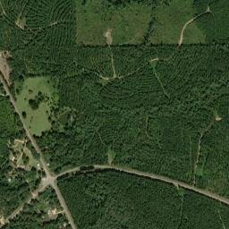Brantley Crossing Alabama High Resolution Satellite Map
