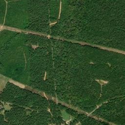 Drewry Alabama High Resolution Satellite Map