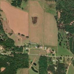 Conecuh County 20, Repton, AL 36475 High Resolution Satellite Map