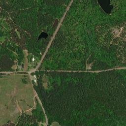 Lee Alabama High Resolution Satellite Map