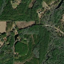 County Road 12, Chatom, AL 36518 High Resolution Satellite Map