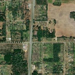 Putney map(satellite map)