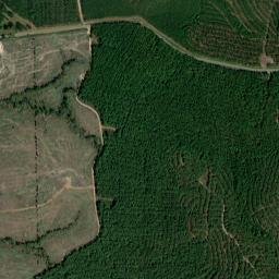 7734-8618 Louisiana 118, Florien, LA High Resolution Satellite Map