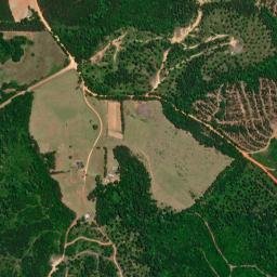 Barlow Bend Alabama High Resolution Satellite Map