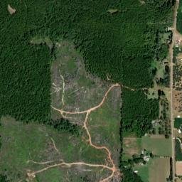 Gainestown Alabama High Resolution Satellite Map